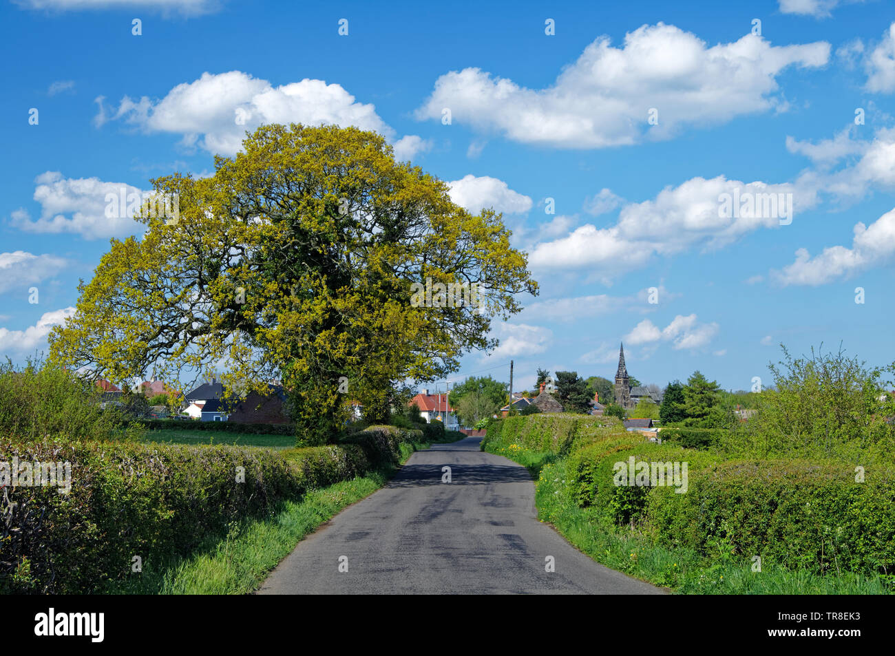 UK,Derbyshire,Handley Lane leading to Clay Cross Stock Photo Alamy