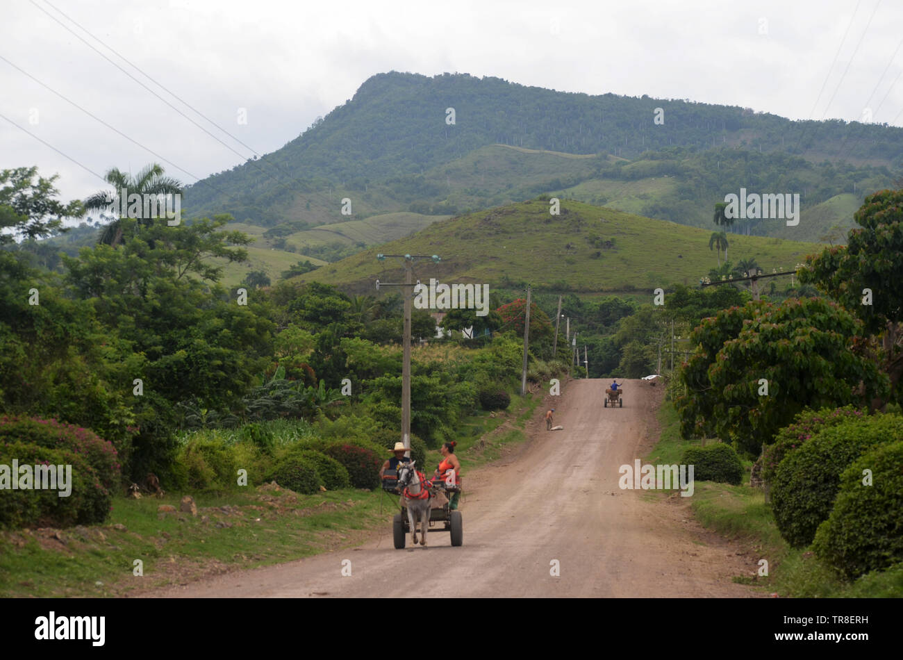 Fields and forested slopes in Guisa municipality (Granma province, Cuba), in the vicinity of Pico de la Bayamesa national park, southern Cuba Stock Photo