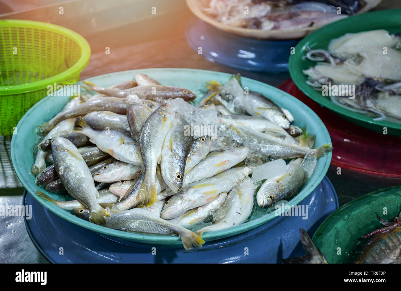 Fresh fish in ice bucket for sale in the seafood market / sea fish
