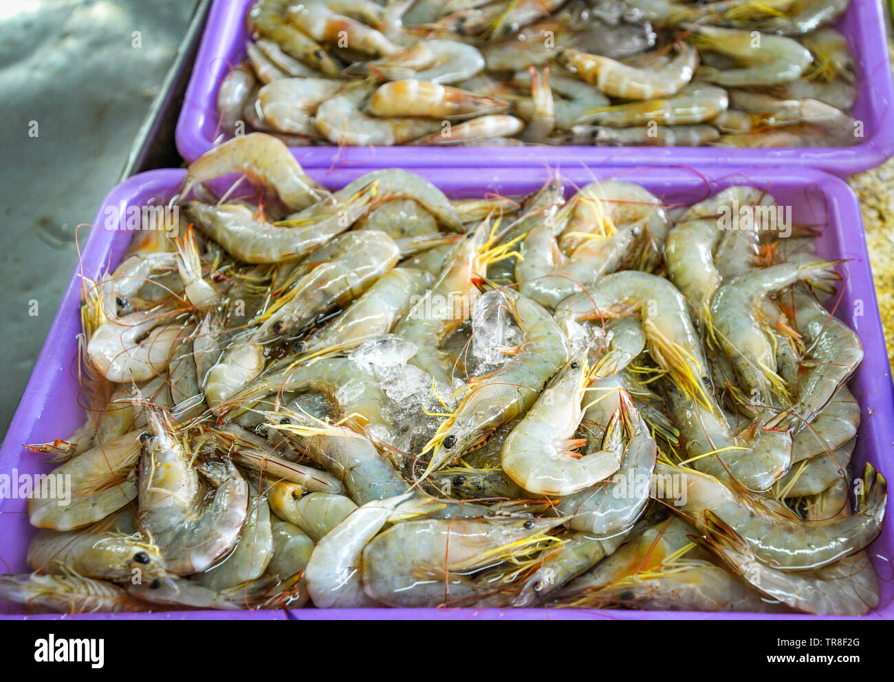 Shrimp bucket restaurant hires stock photography and images Alamy