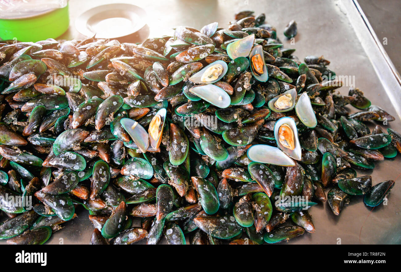 Fresh green lipped mussels green hires stock photography and images