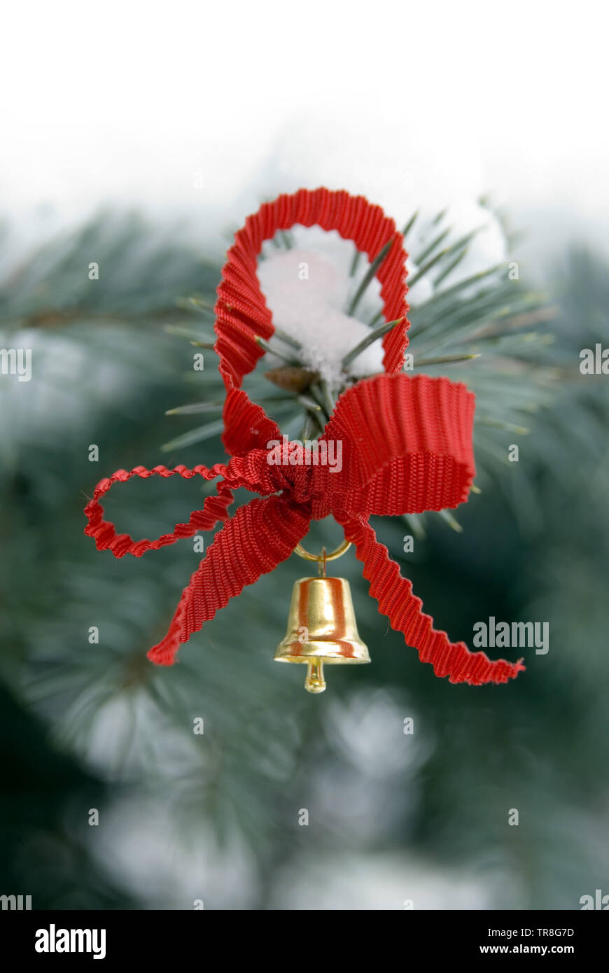 Red ribbon and toy bell decoration on spruce tree Stock Photo