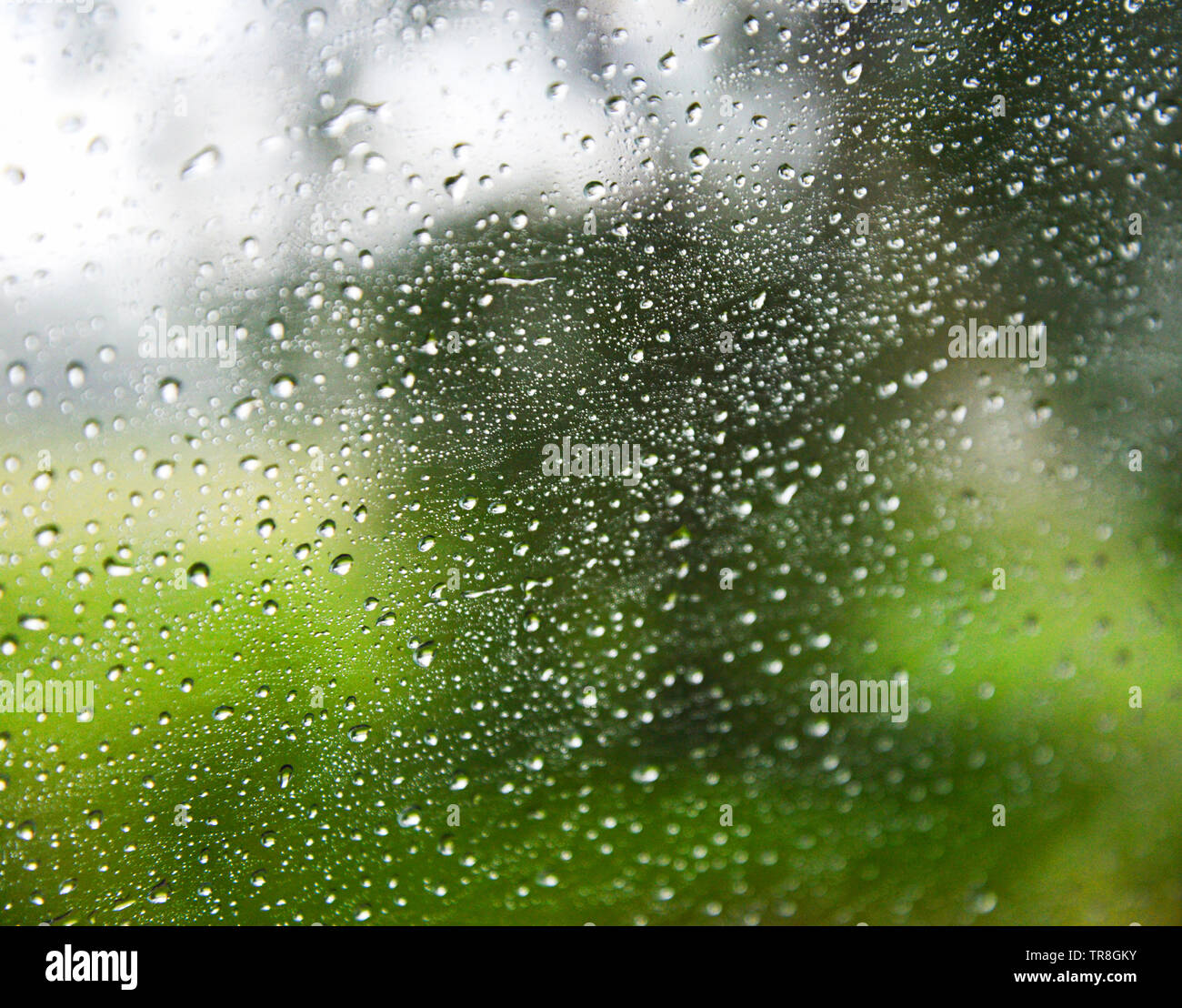 Rain drops on glass / Rainy day window glass with water drops and nature blur background Stock Photo