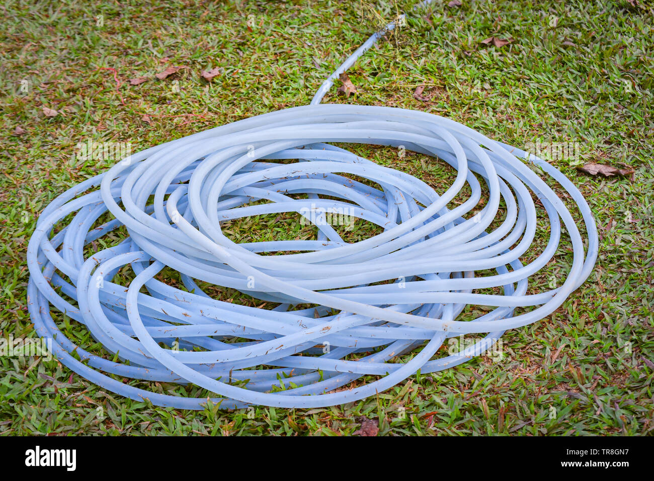 Roll rubber tube in the garden for watering plant Stock Photo - Alamy