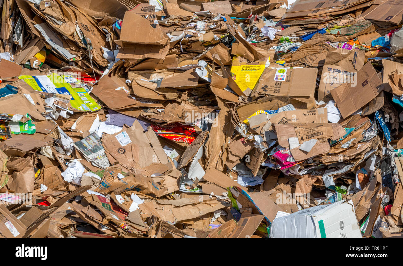 Piles of cardboard and paper await sorting and shipping to a recycling center Stock Photo