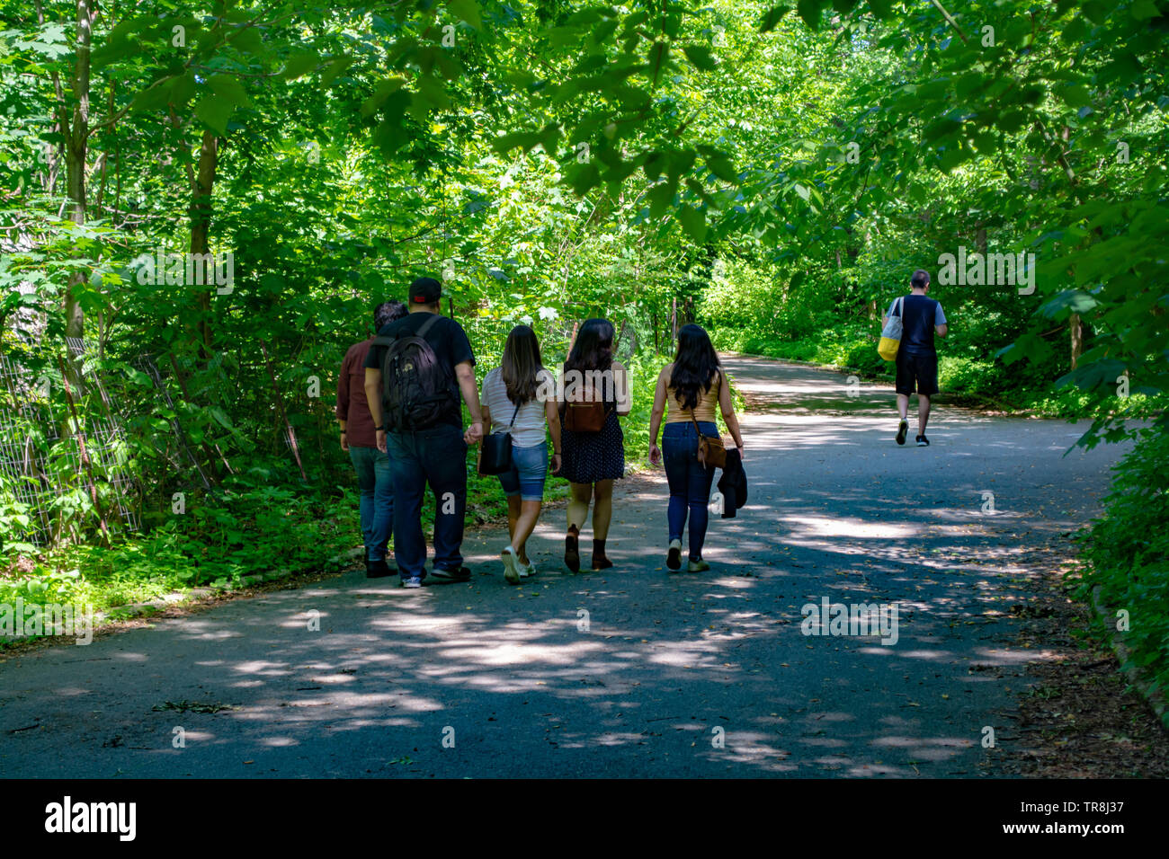 Prospect Park during Summer, Brooklyn, New York Stock Photo - Alamy