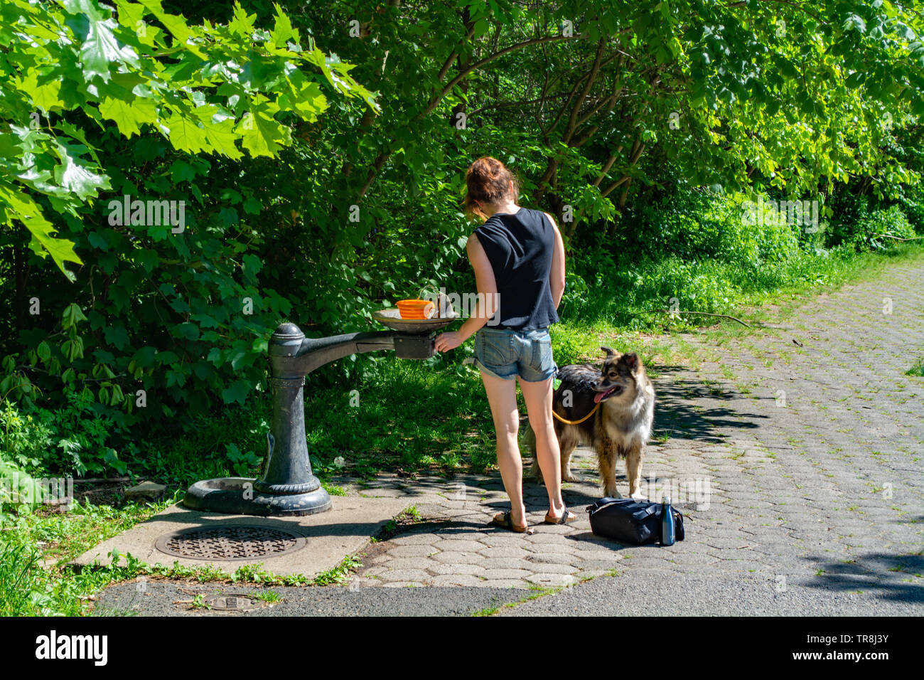 Prospect Park during Summer, Brooklyn, New York Stock Photo - Alamy