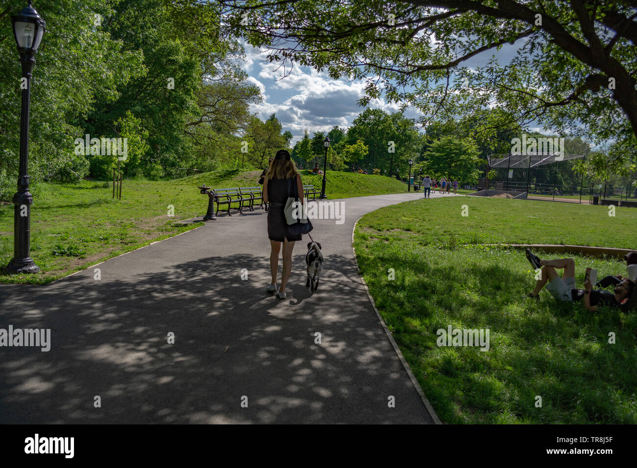 Woman is walking down the park with her dog on a sunny Spring day. Prospect Park, Brooklyn Stock Photo
