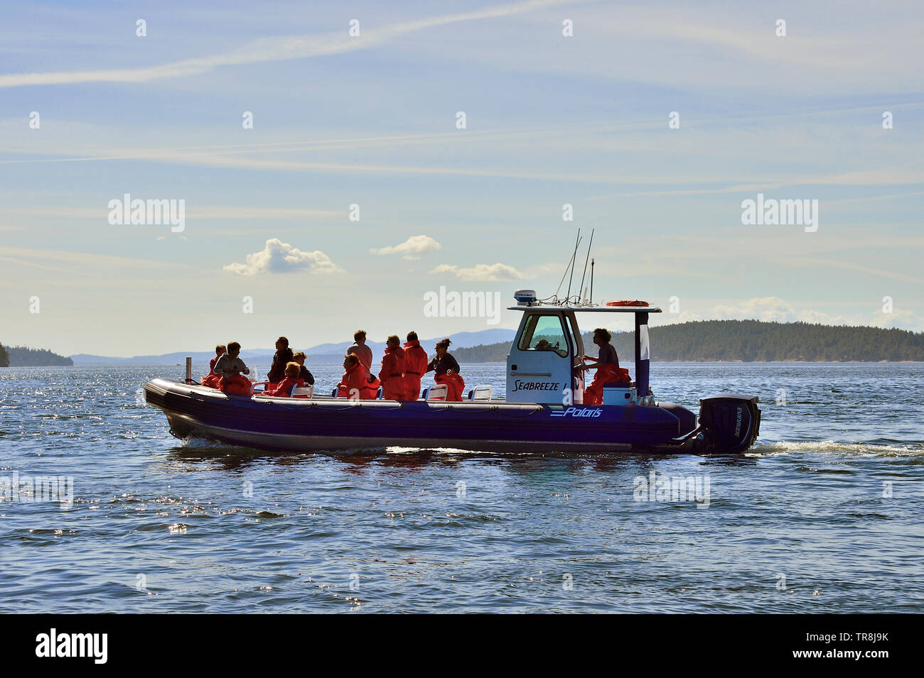 A group of people on a whale watching expedition in waters of the Stewart Channel near Vancouver Island British Columbia, Canada. Stock Photo