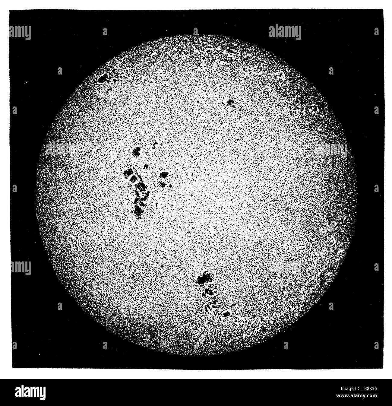 Sun: surface with spots and torches. According to Secchi ,  (geography book, 1904) Stock Photo