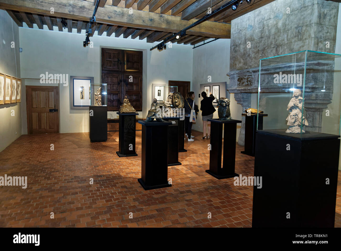 Tours, France.24th May,2019.Artworks of Georges Jenclos at Exhibition Re-naissance(s) of the Capazza Gallery:Veronique Phitoussi/Alamy Stock Photo Stock Photo