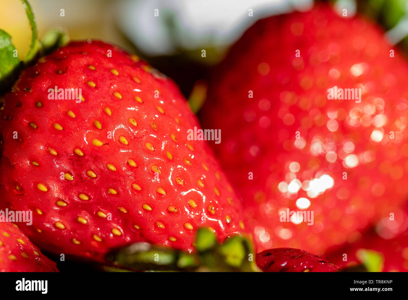Strawberry seed hi-res stock photography and images - Alamy