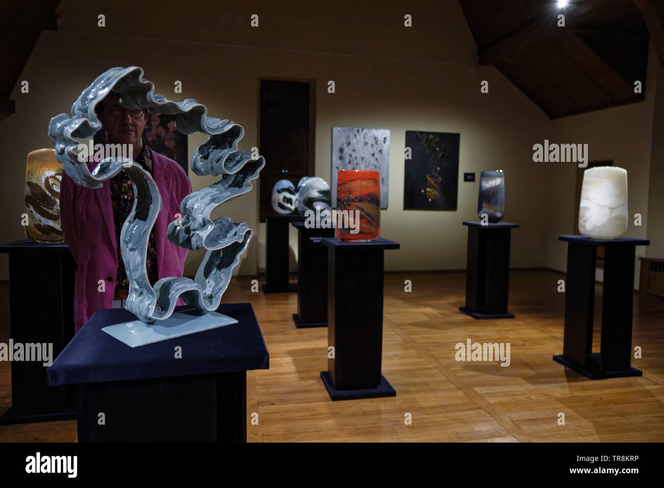 Tours, France.24th May,2019.Artworks of J.F Fouilhoux, M & A. Begou at Exhibition Re-naissance(s) of the Capazza Gallery.©:V Phitoussi/Alamy Stock Stock Photo