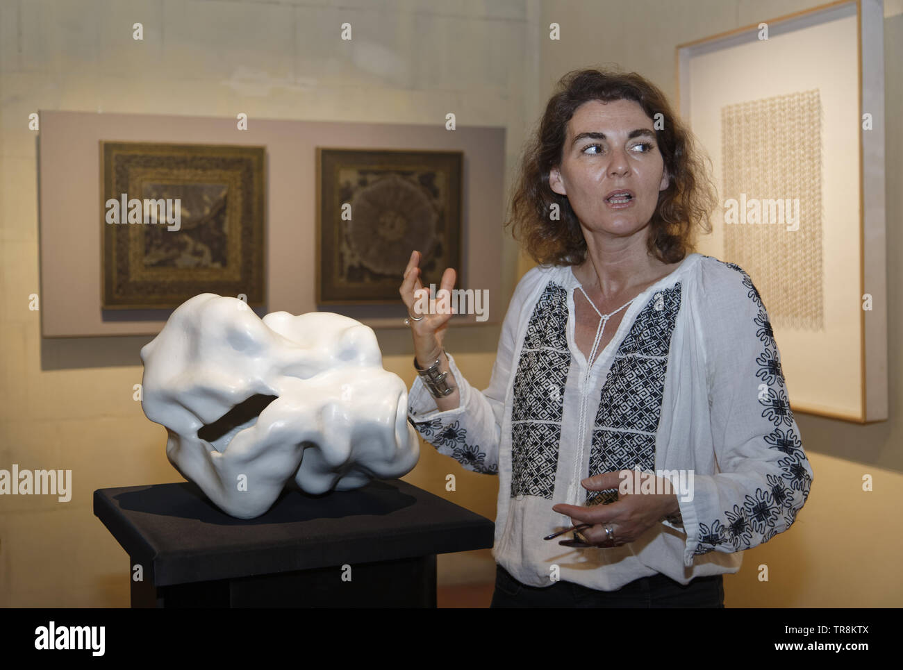 Tours, France.24th May,2019.Artwork of Sandra Zeenni & Jani exhibited at the Exhibition Re-naissance(s) of the Capazza Gallery in Tours, France Stock Photo