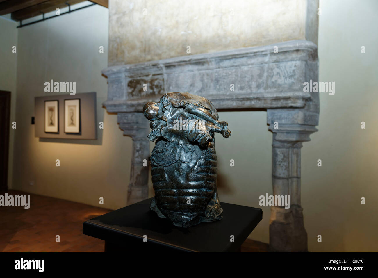 Tours, France.24th May,2019.Artworks of Georges Jenclos at Exhibition Re-naissance(s) of the Capazza Gallery:Veronique Phitoussi/Alamy Stock Photo Stock Photo