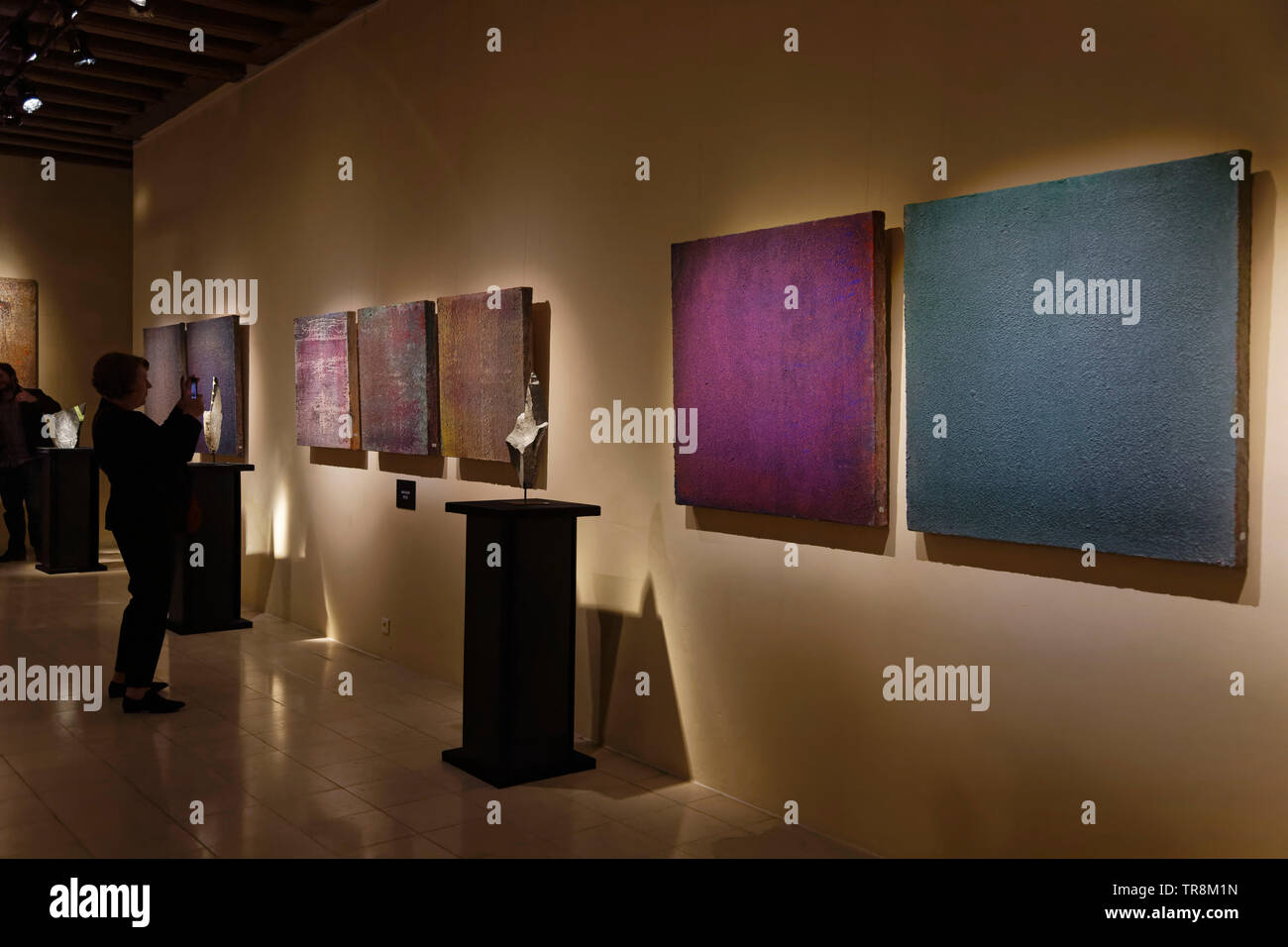 Tours, France.24th May,2019.Artworks-J-L Kolb,G Fournier at Exhibition Re-naissance(s) of the Capazza Gallery.©:V Phitoussi/Alamy Stock Photo Stock Photo