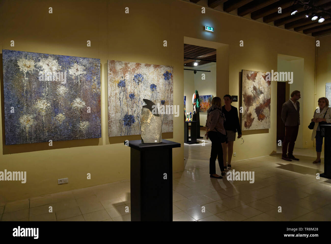 Tours, France.24th May,2019.Exhibition Re-naissance(s) of the Capazza Gallery in Hotel Gouin in Tours.©:Veronique Phitoussi/Alamy Stock Photo Stock Photo