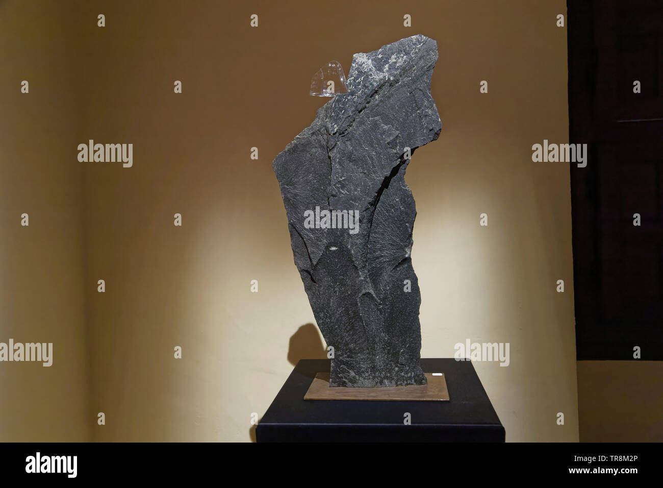 Tours, France.24th May,2019.Artwork of Gerard Fournier at Exhibition Re-naissance(s) of the Capazza Gallery.©:Veronique Phitoussi/Alamy Stock Photo Stock Photo