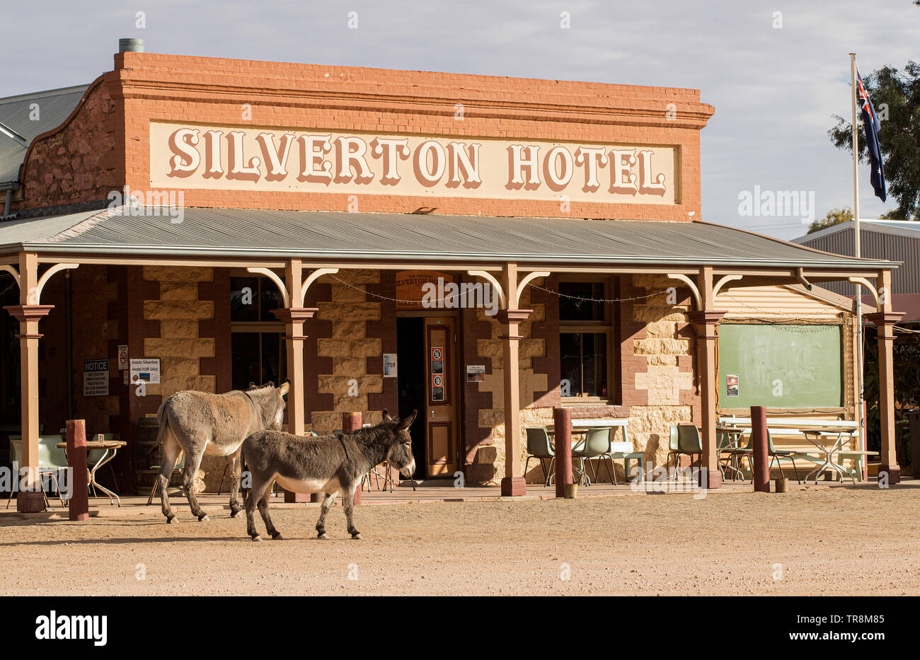 Ghost town Silverton in outback New South Wales and the Silverton Hotel with the towns resident donkeys. Stock Photo
