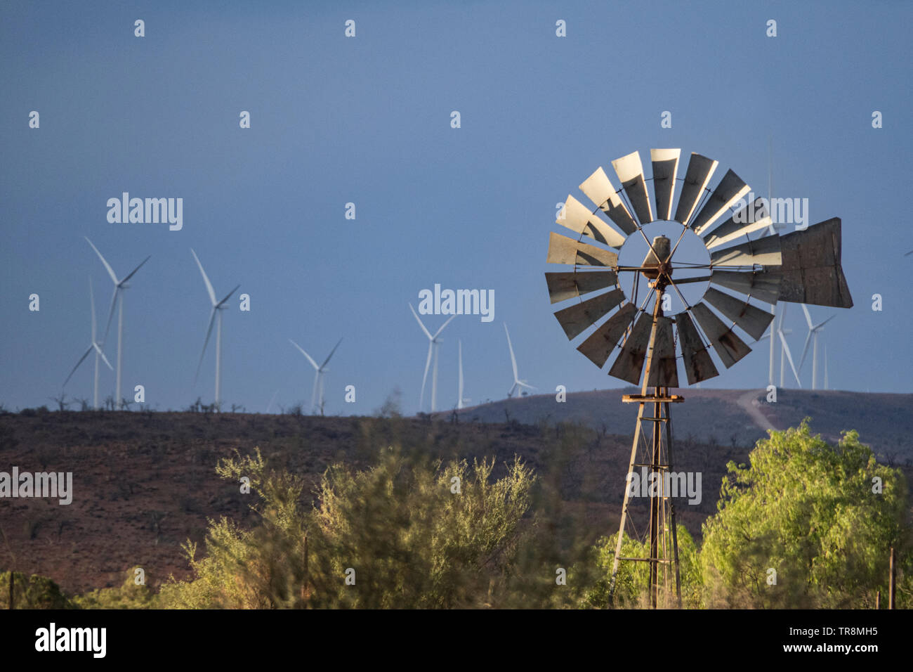 Windmills operating near Broken Hill  in New South Wales, Australia. Stock Photo