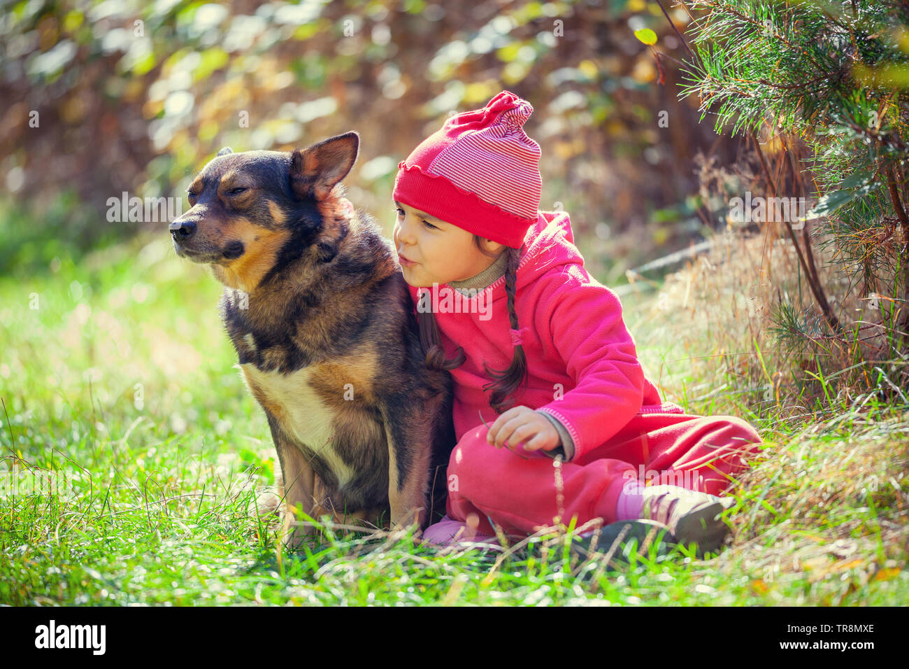 Happy little girl playing with a dog in the forest Stock Photo - Alamy