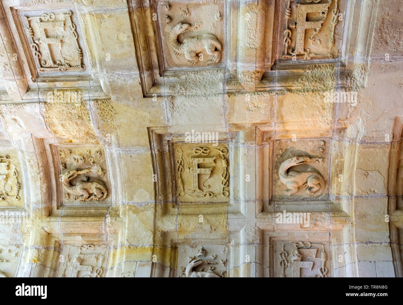 Low relief of a salamander, the symbol of Francois in the Royal Chateau at Chambord, Loir et Cher, Centre Val de Loire, France, Europe Stock Photo