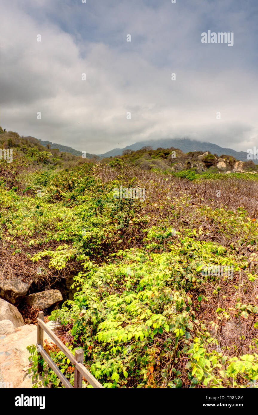 Tayrona National Park, Colombia Stock Photo Alamy