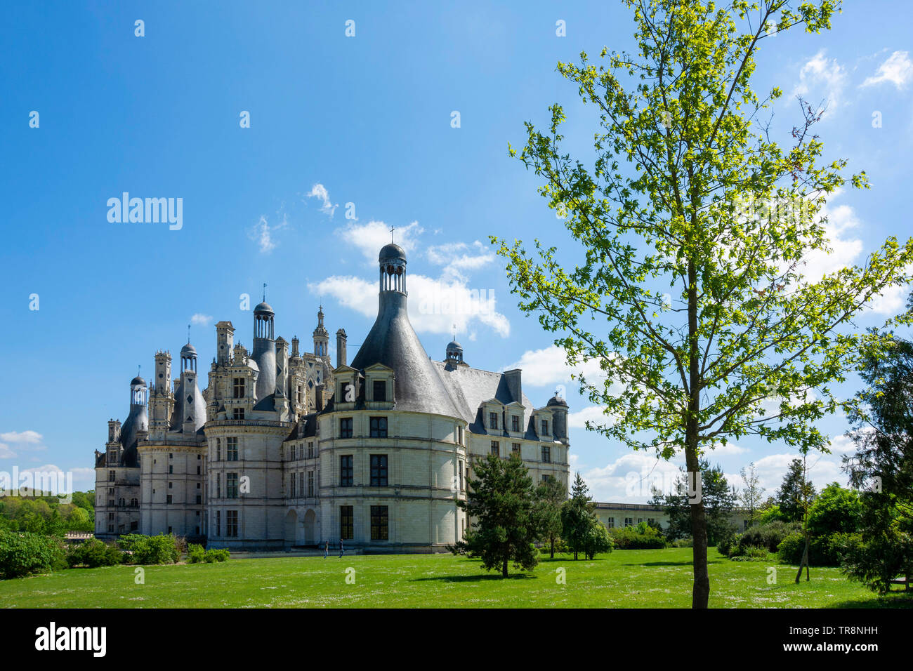 Chateau de Chambord, Loire Valley, Loir-et-Cher department, Centre-Val de Loire, France, Europe Stock Photo