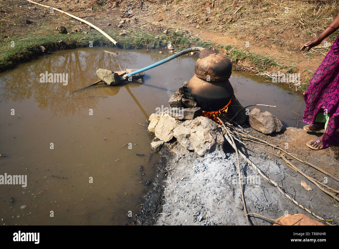 Tribal woman making mahua wine hires stock photography and images Alamy