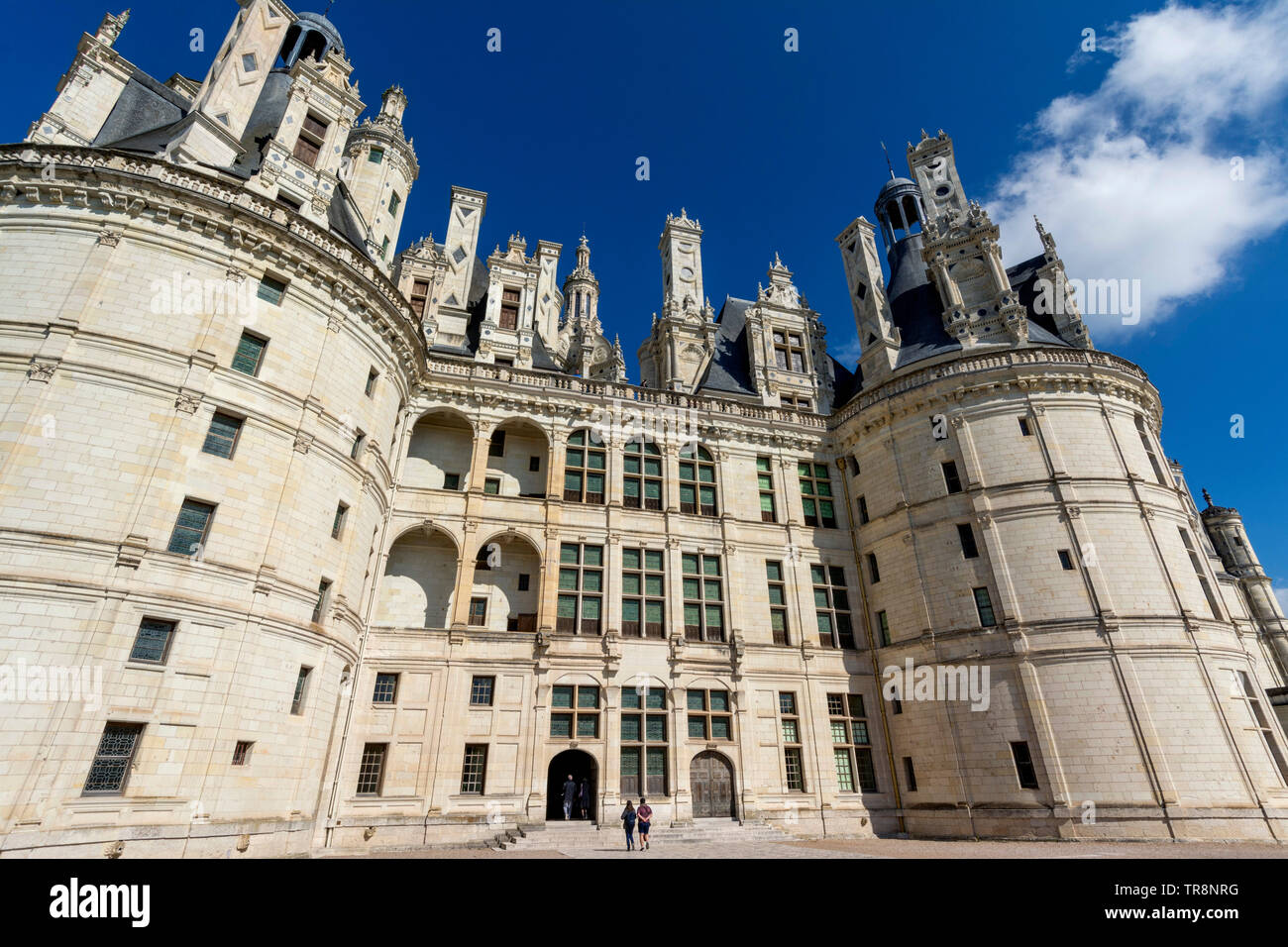 Chateau de Chambord, Loire Valley, Loir-et-Cher department, Centre-Val de Loire, France, Europe Stock Photo