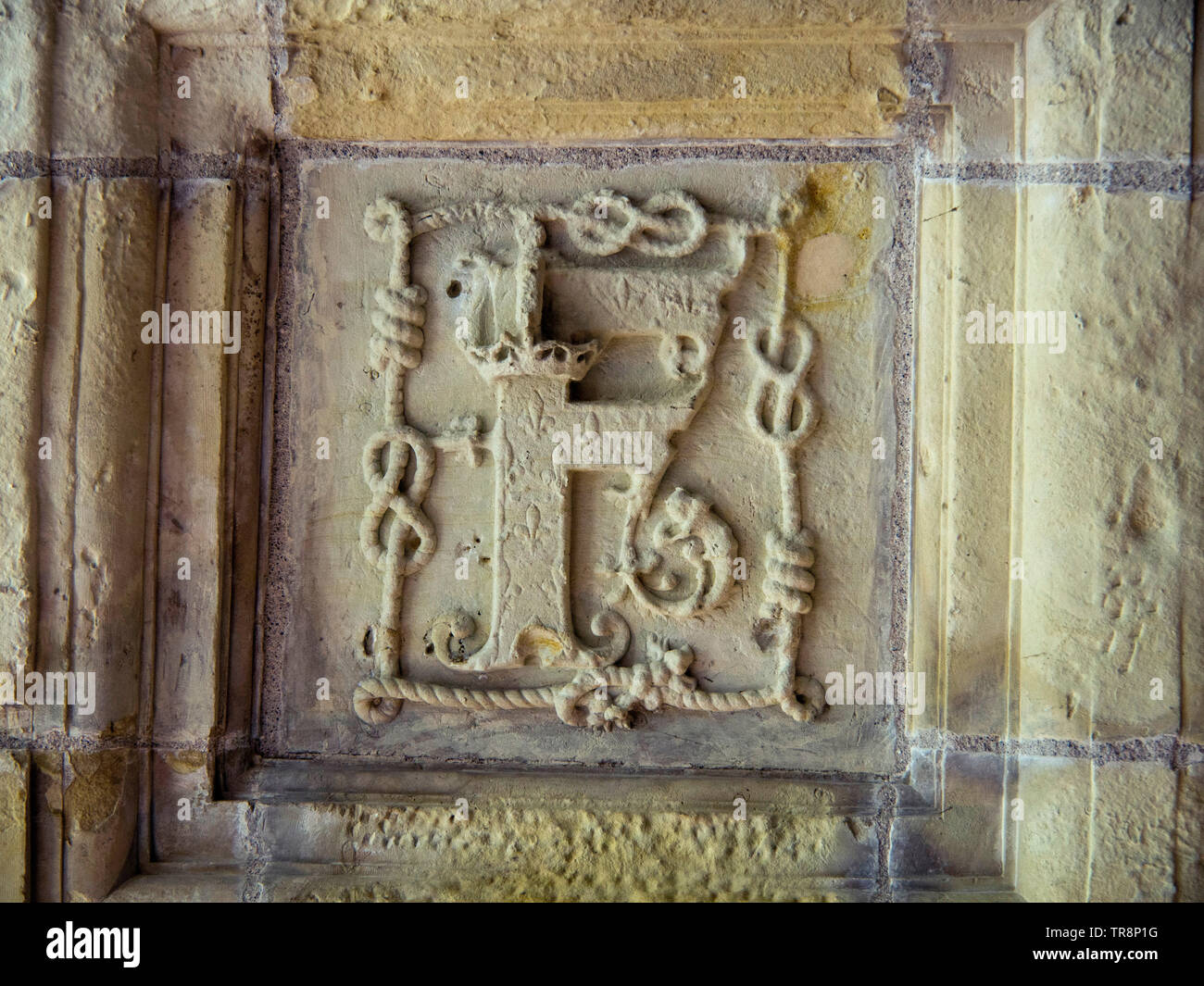 F De High Resolution Stock Photography And Images Alamy