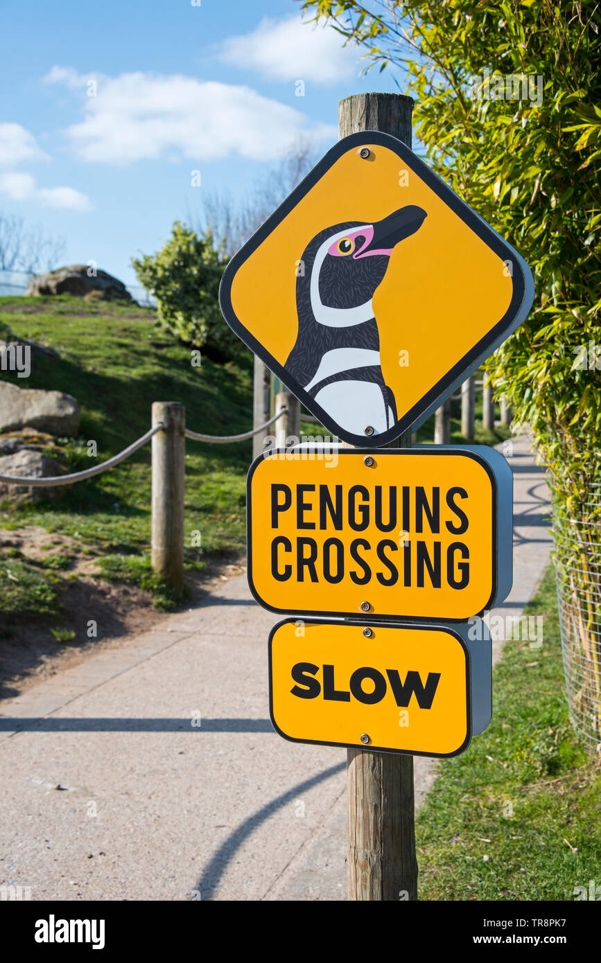 Penguins Crossing Sign, Peak Wildlife Park Stock Photo