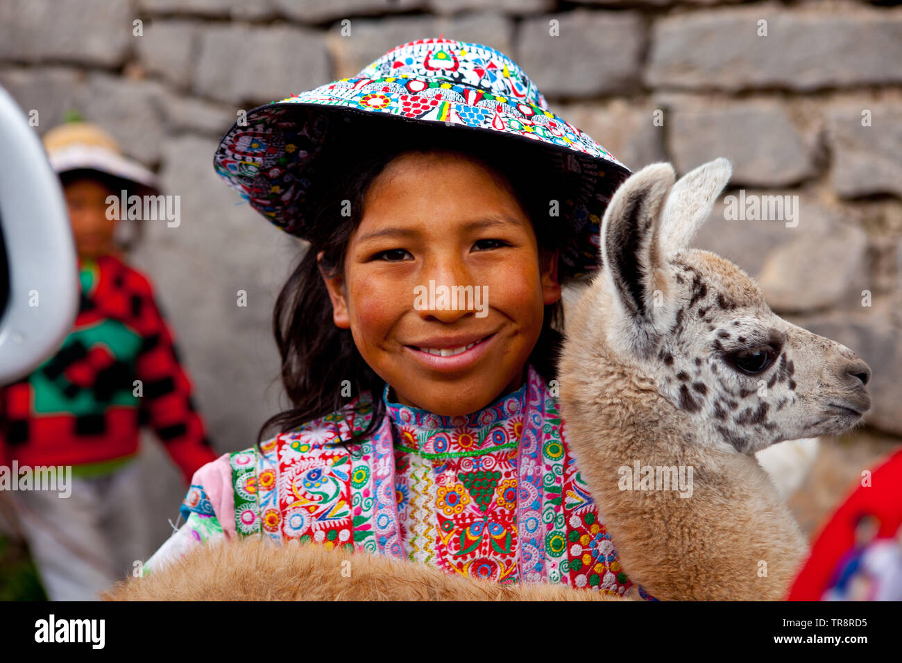 A girl holding a Llama,traditional animal of Peru Stock Photo