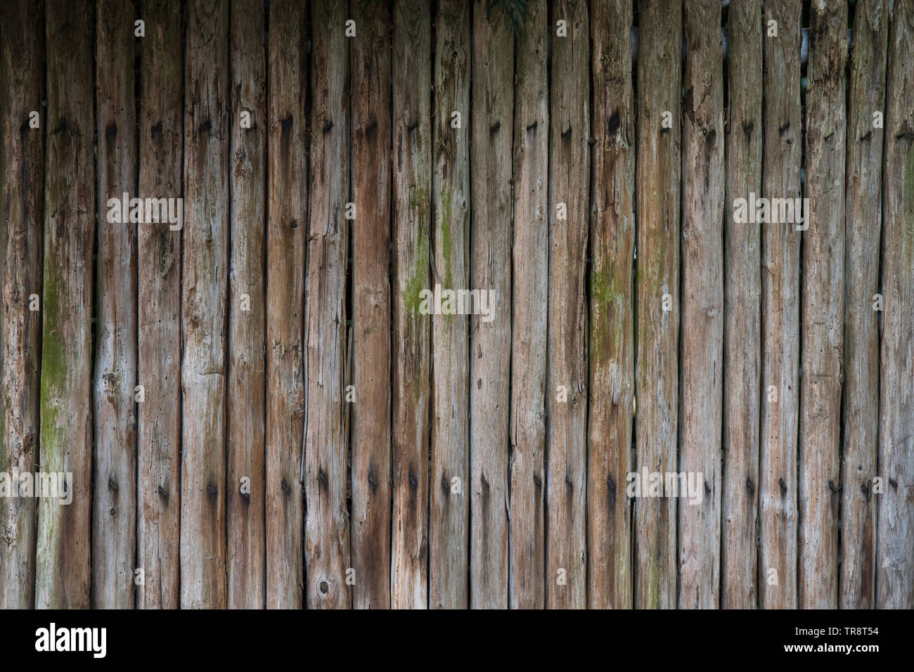 Background in old rustic wooden plank Stock Photo