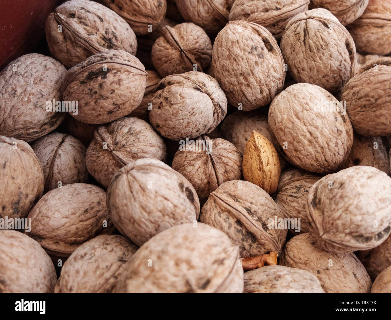 Almond kernel in the shell between walnuts. Different between others
