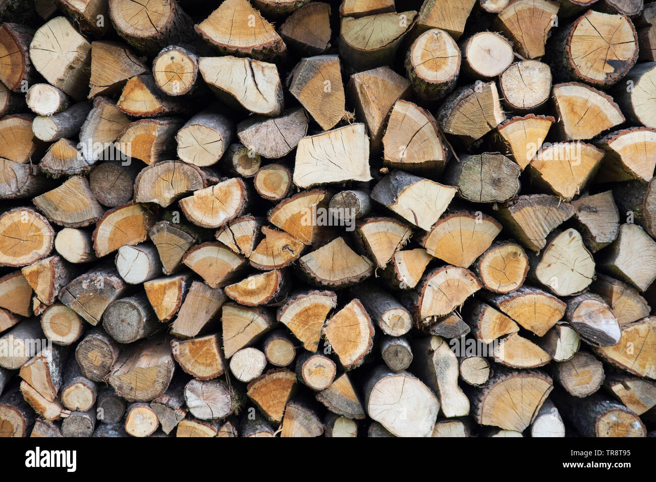 Background in old rustic wooden plank Stock Photo