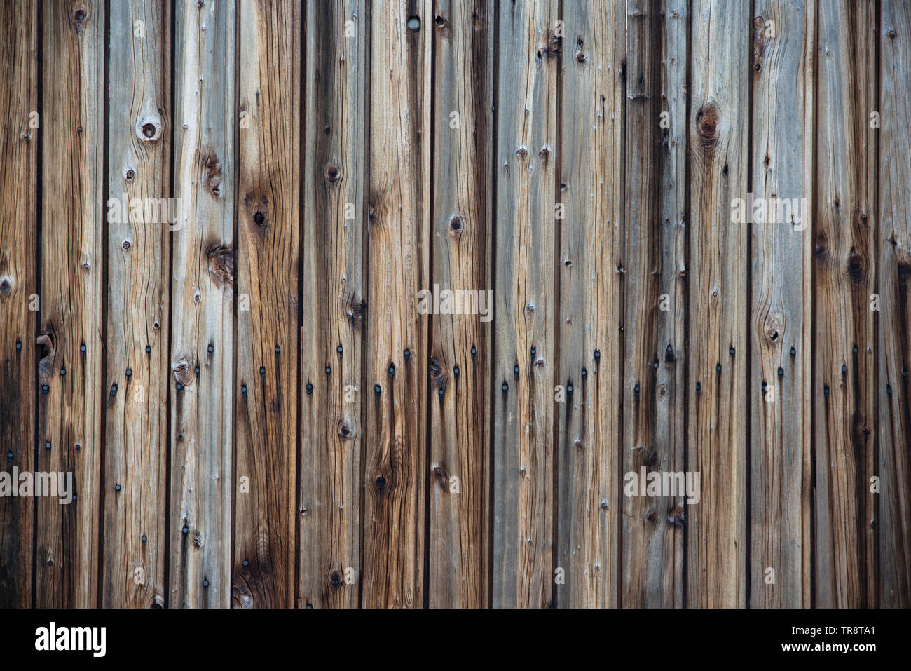 Background in old rustic wooden plank Stock Photo