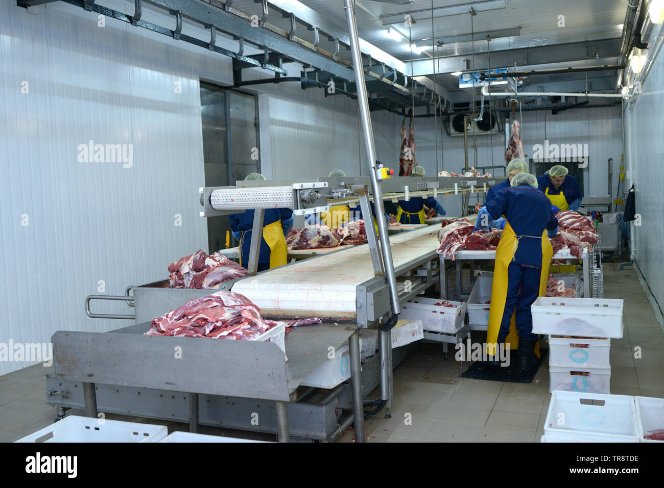 Meat Production Line Stock Photos & Meat Production Line Stock Images