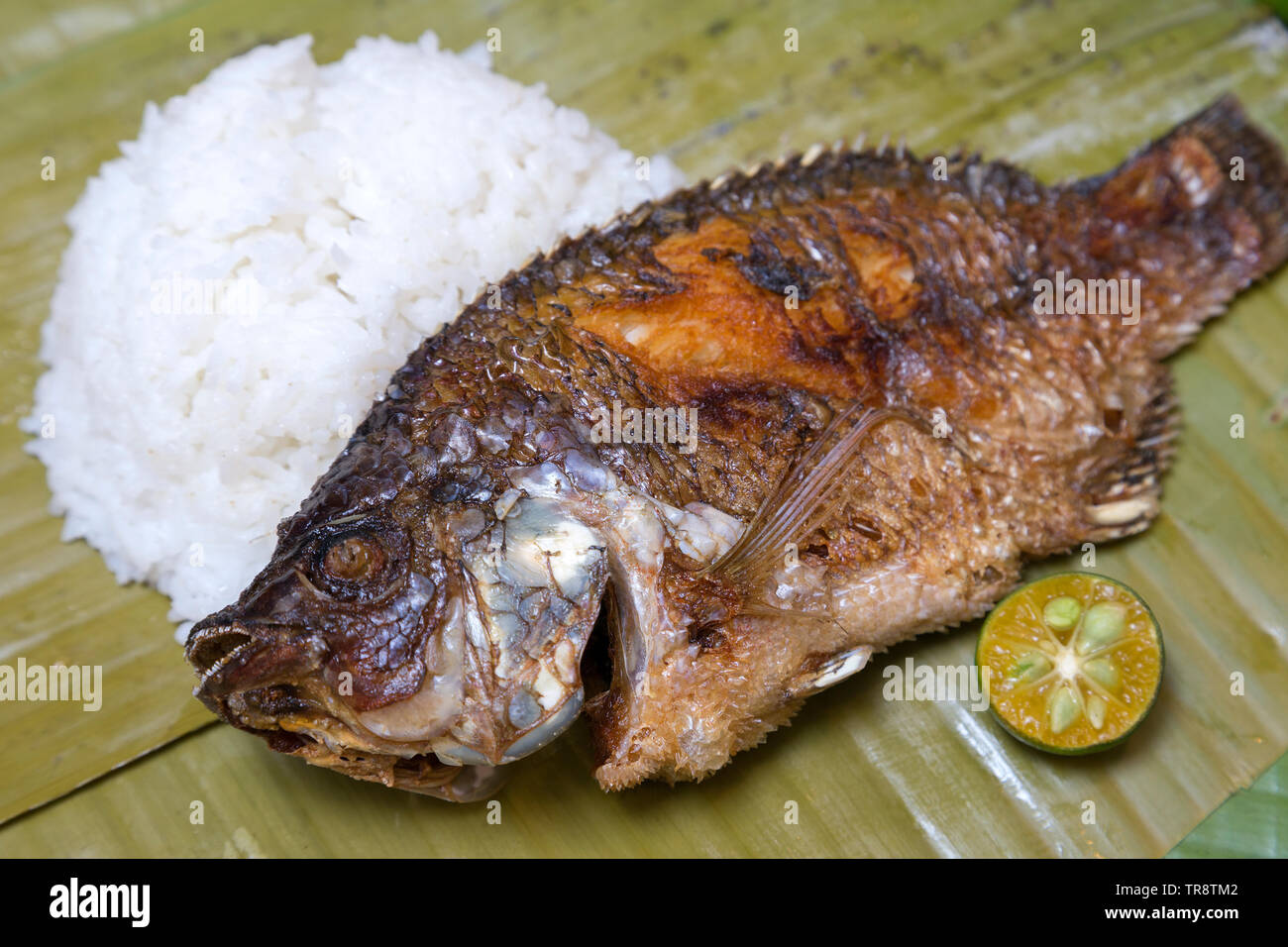 Filipino traditional dish: fried philippine tilapia fish with rice Stock Photo