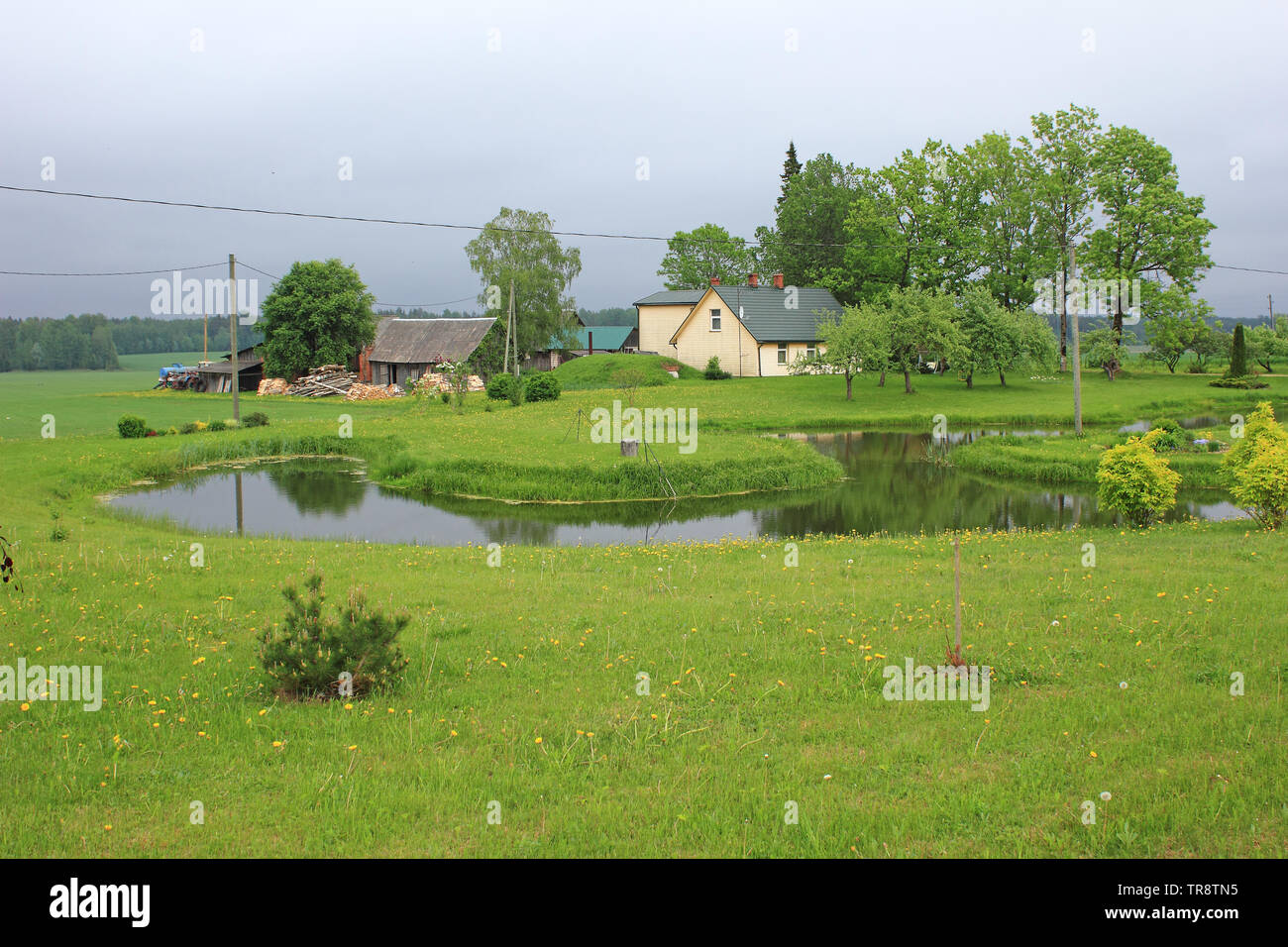 Green Field and Farmhouse Green Field and Farmhouse Stock Photo - Alamy