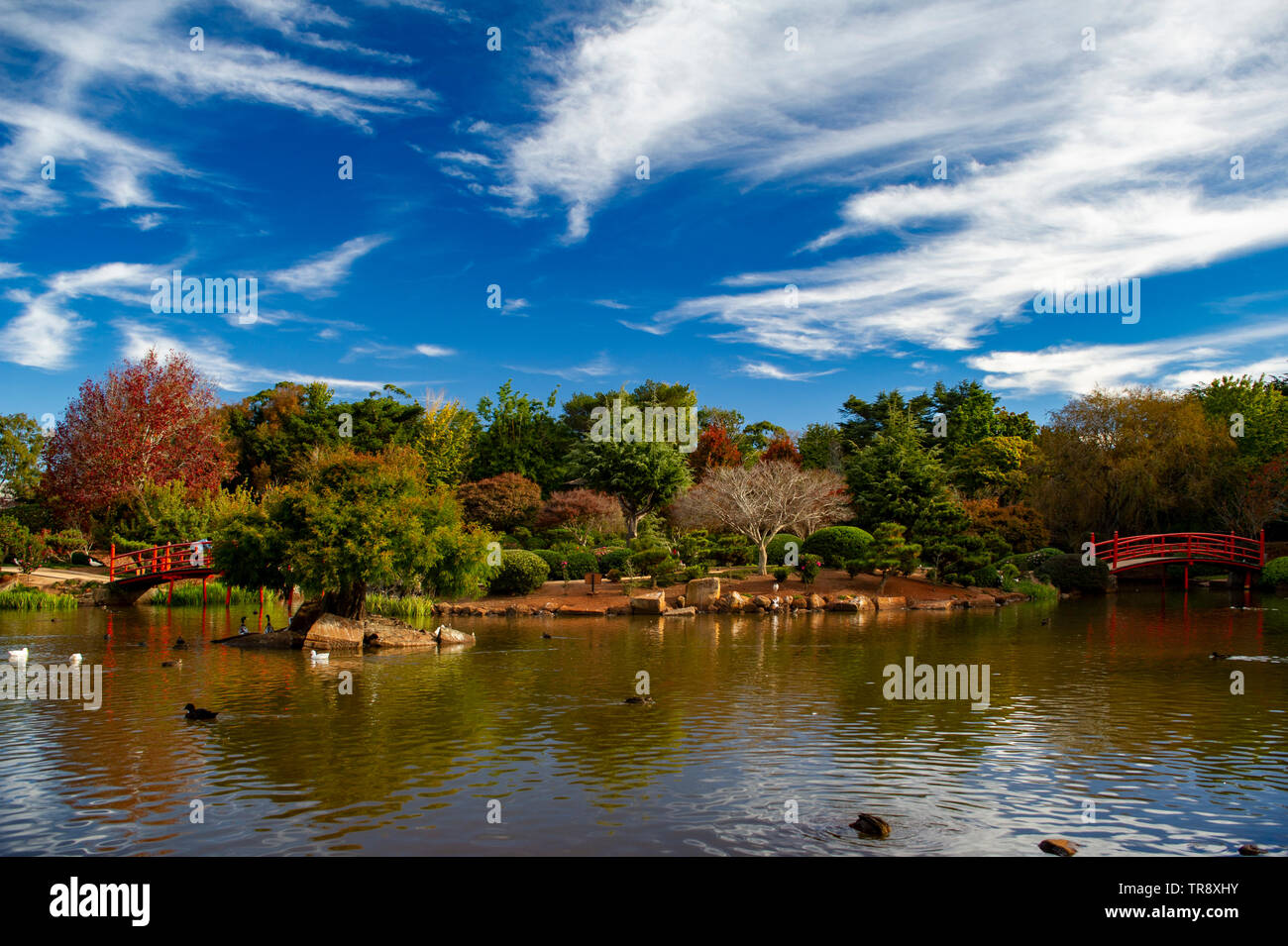Japanese Gardens Stock Photo