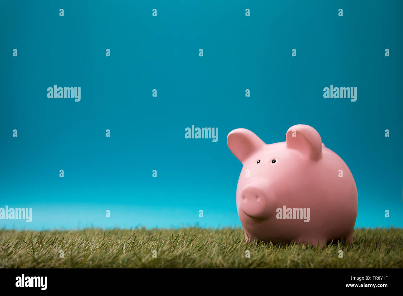Piggy bank on green grass and blue sky Stock Photo