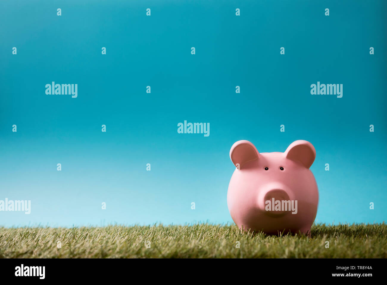 Piggy bank on green grass and blue sky Stock Photo