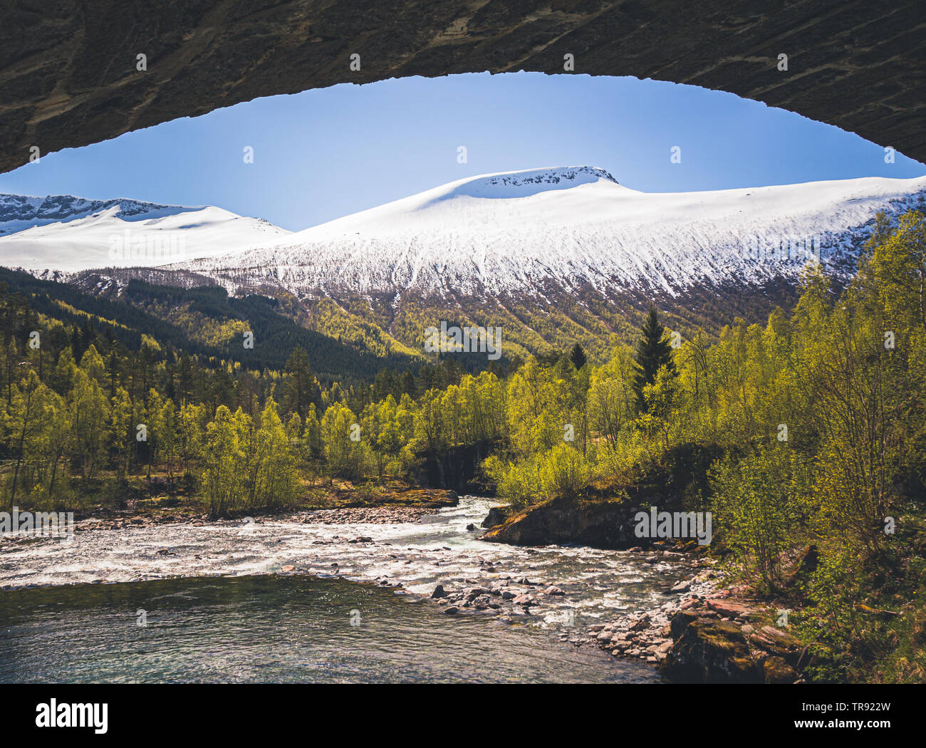 Mountain landscape of woodlands in Valldal area, middle Norway. Romsdal, Reinheimen mountains. Stock Photo