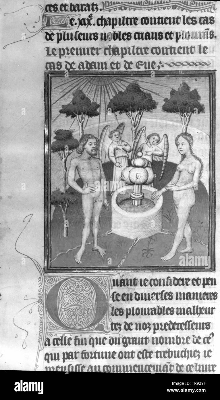 codex series nova 12766, folio 2 verso, detail. text and miniature: Adam and Eve, Additional-Rights-Clearance-Info-Not-Available Stock Photo