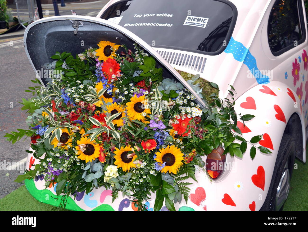 The Manchester Flower Show, part of Manchester's King Street  Festival on June 1st - 2nd, 2019, prepares to open. This year’s theme:Flower Power! Retro objects, like this Volkswagen beetle car, feature in the festival. Stock Photo