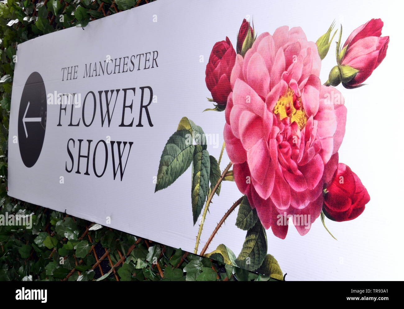 The Manchester Flower Show, part of Manchester's King Street  Festival on June 1st - 2nd, 2019, prepares to open. This year’s theme:Flower Power! Stock Photo