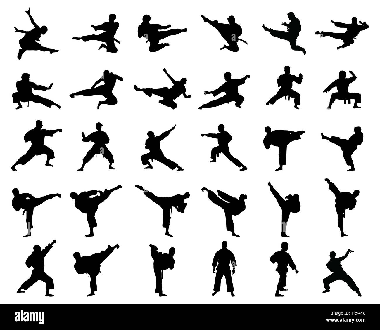 Black silhouettes of karate fighting on a white background Stock Photo