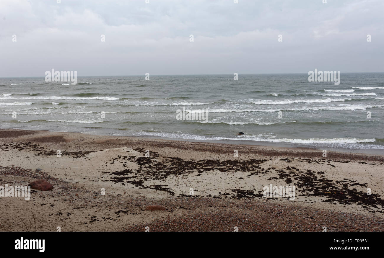 Landschaften am Ostsee,Karkle,Karkelbeck am Ostsee. Stock Photo