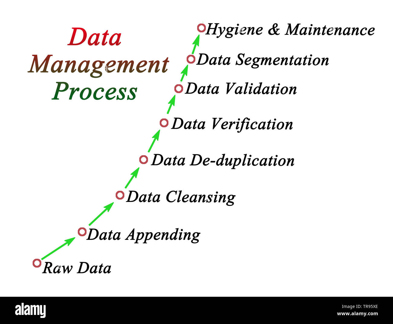 Components of Data Management Process Stock Photo - Alamy